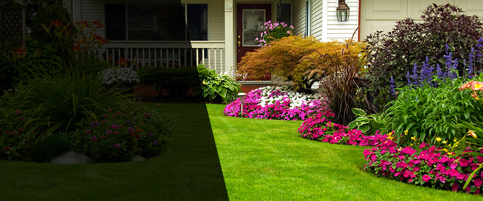Ladson Landscapers